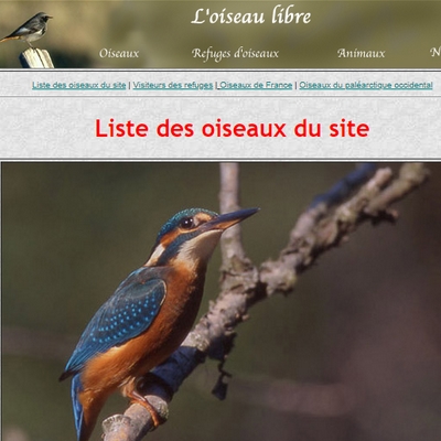 oiseaux